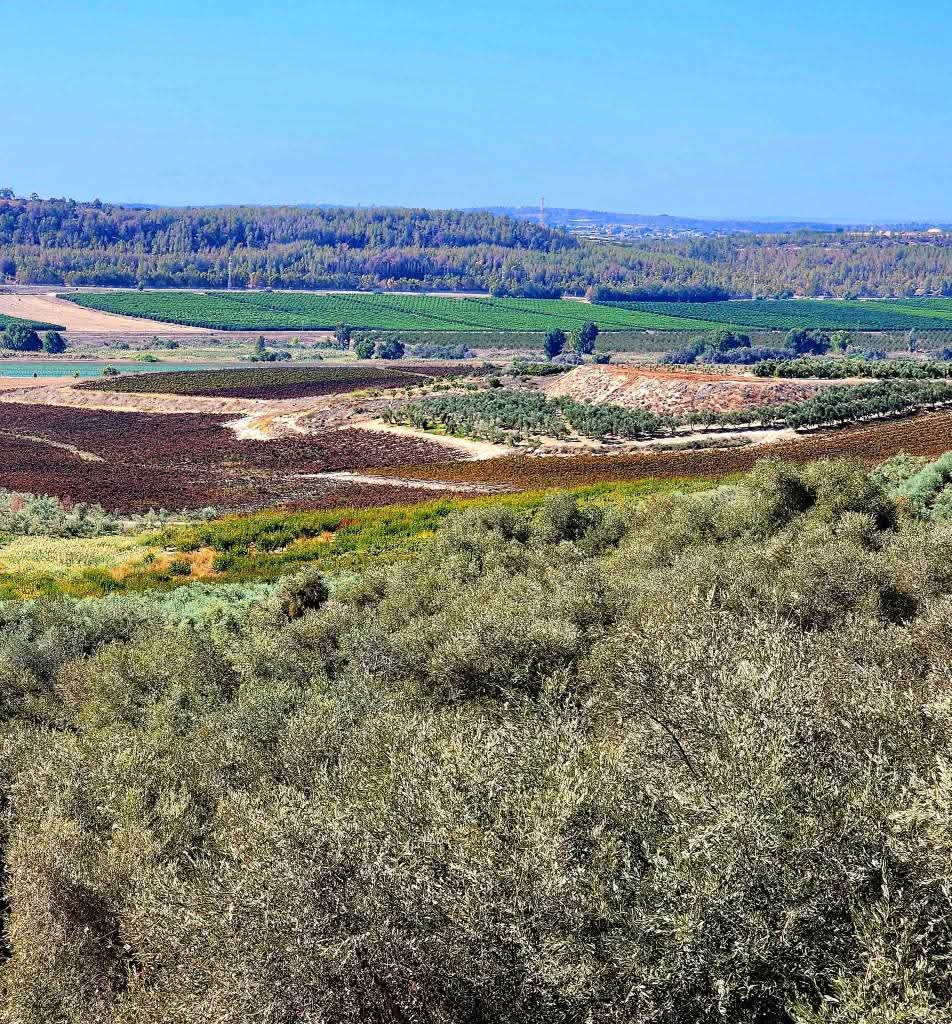 القدس | موسوعة القرى الفلسطينية